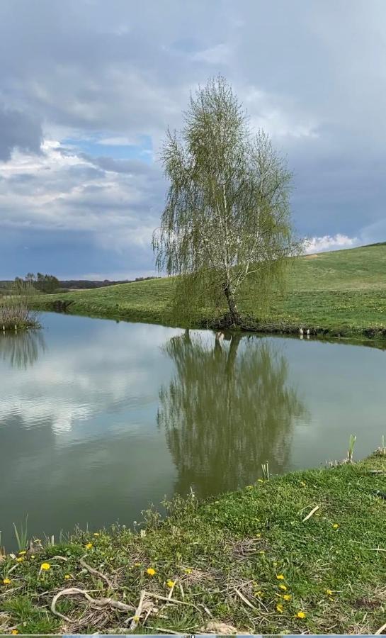 Agroturystyka Nad Jeziorem Silickim Ilinscy Silice Exterior photo
